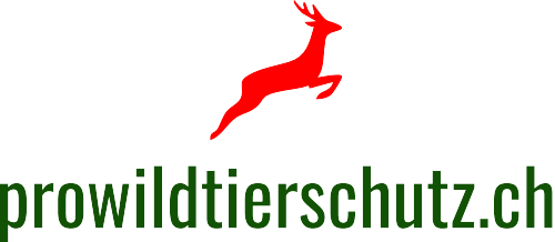 WILDTIERSCHUTZ - WILDUNFALL - PRÄVENTION - AUFKLÄRUNG